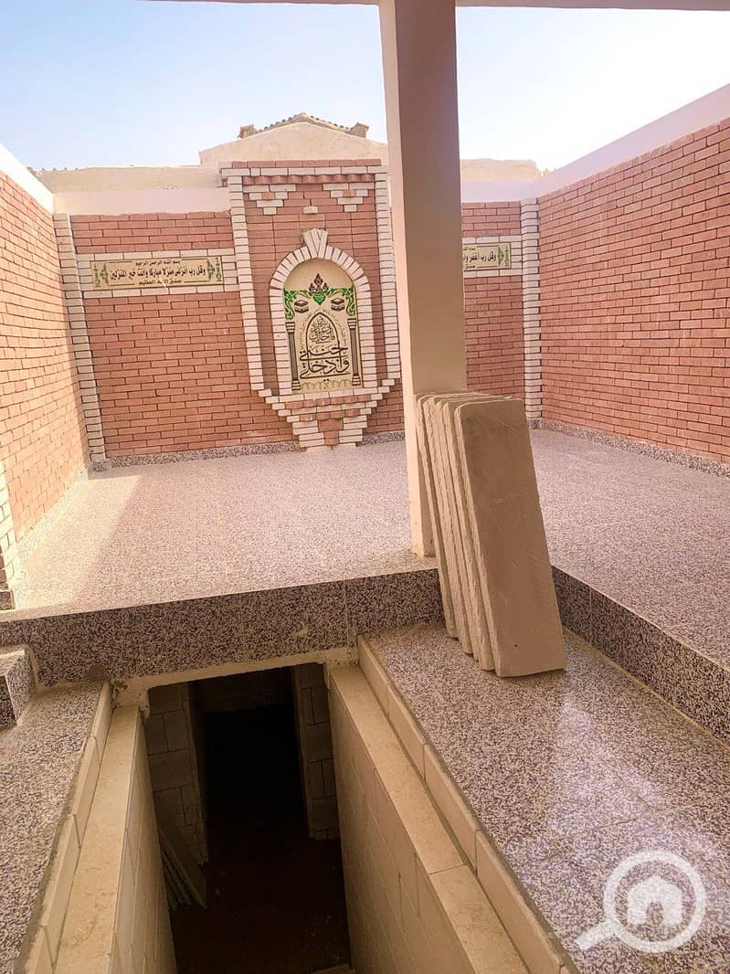 3 photo_2026-01-26_21-32-58. jpg