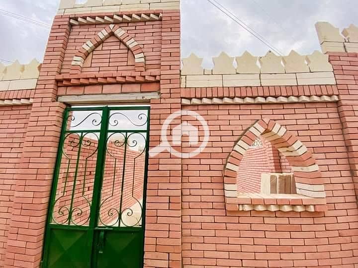 7 480662606_1116996807104907_5042621682614012168_n. jpg