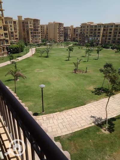 4 Bedroom Flat for Rent in Madinaty, Cairo - IMG-20260131-WA0211. jpg