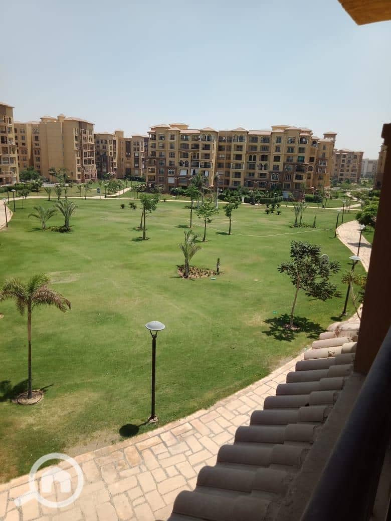 6 IMG-20260131-WA0205. jpg