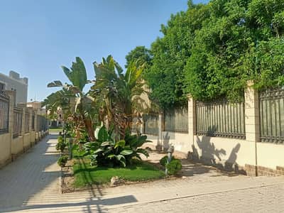 4 Bedroom Villa for Sale in Sheikh Zayed, Giza - IMG-20250823-WA0093(3). jpg 4 Bedroom Villa for Sale in Sheikh Zayed, Giza - IMG-20250823-WA0093(3). jpg