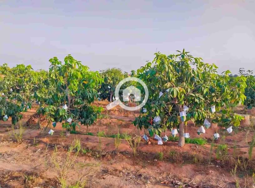 IMG-20260201-WA0002. jpg IMG-20260201-WA0002. jpg