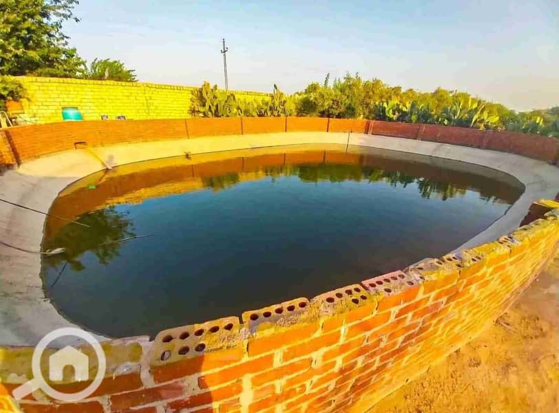 4 IMG-20260201-WA0005. jpg