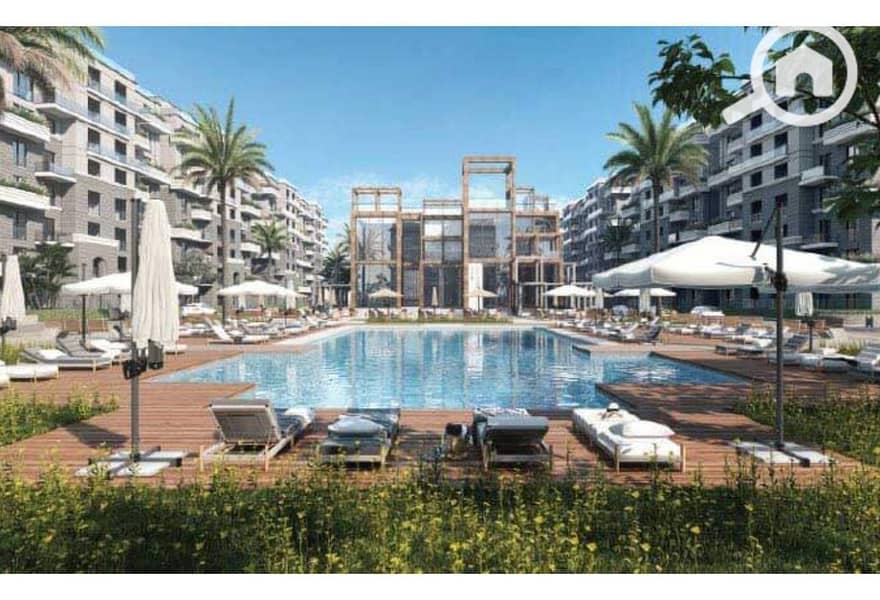 7 c8352682-e151-11ef-b921-ce7a413a7ff7. jpeg