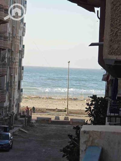 شقة 2 غرفة نوم للبيع في النخيل، الإسكندرية - 1000482349. jpg