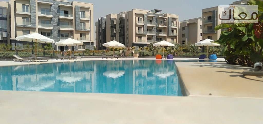 4 27cd32fe-c9a4-4625-97c1-e813c02f0ceb. jpeg