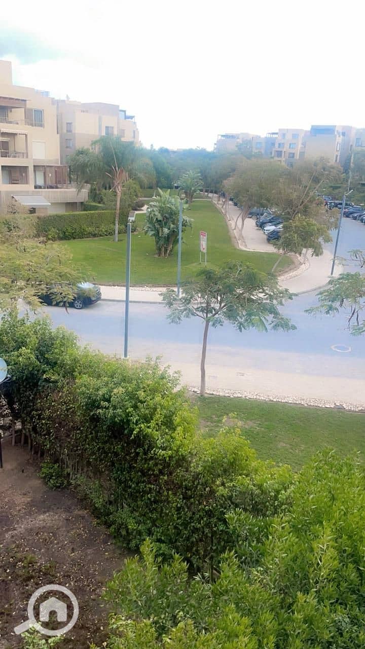 6 bb5b8560-392f-4218-bd51-692995802930. jpg