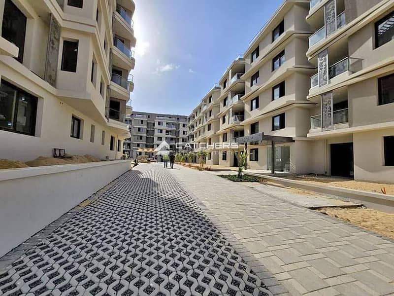 12 361046025_6373001282755216_7589344353148603853_n. jpg