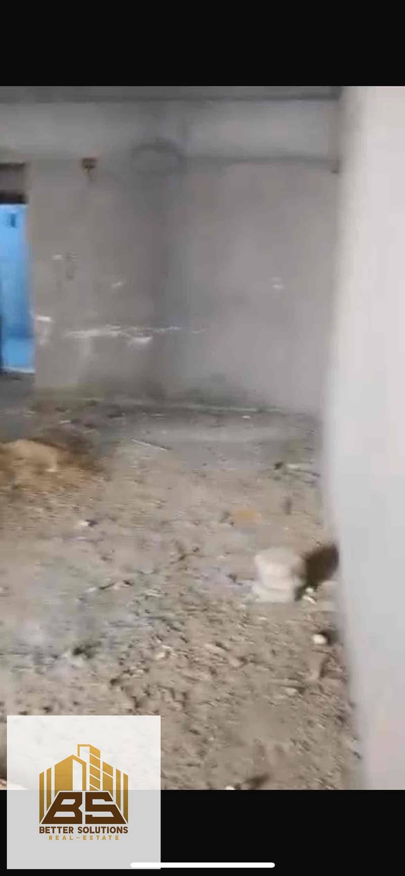 3 3aa2dd4d-ddba-4e2d-b656-8f596a670b66. jpg