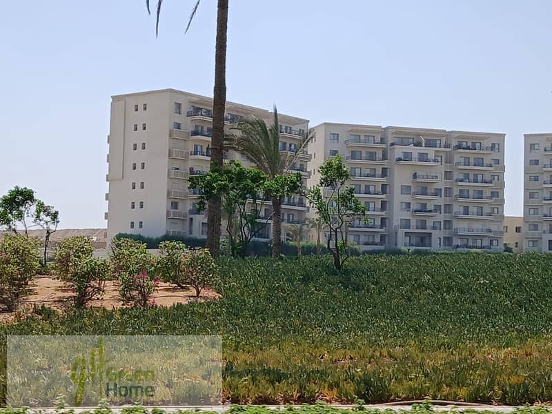 11 54b9d799-7b69-475a-a8da-0459a789a359. jpg