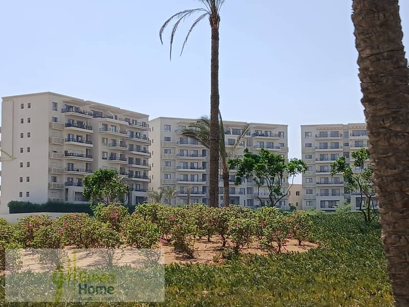 13 55cd3c4f-db78-4294-a32e-4b73bccc6b3b. jpg