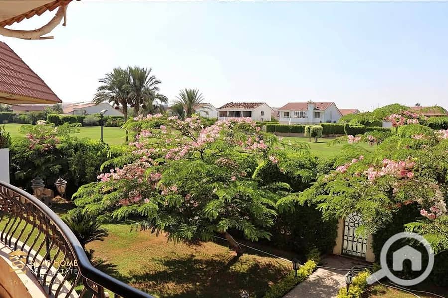 4 482561339_1874256986696906_4639711884680578441_n. jpg