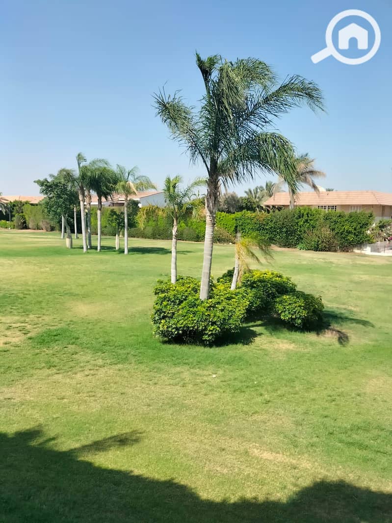 8 492012248_1915542549189304_367552130690010103_n. jpg