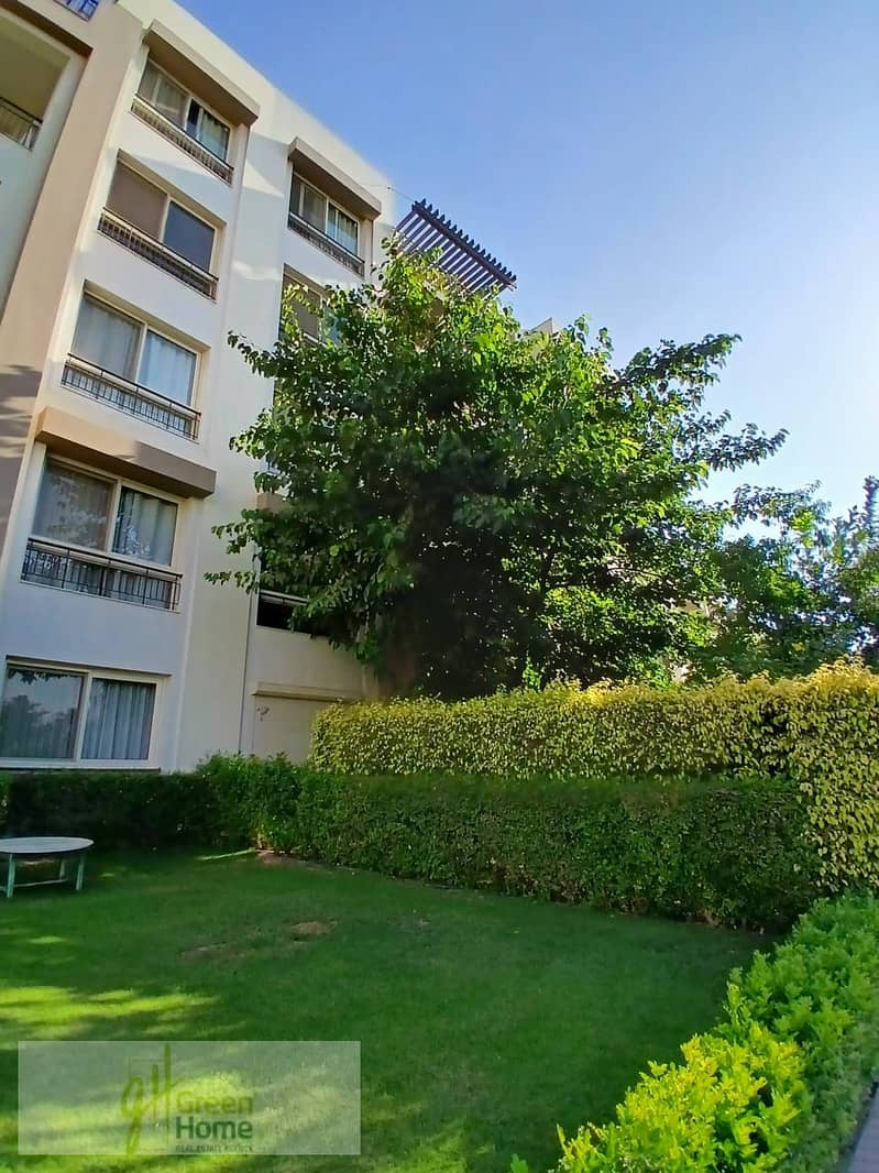 7 98005ec1-0377-4858-b22f-f1de44bd92d9. jpg