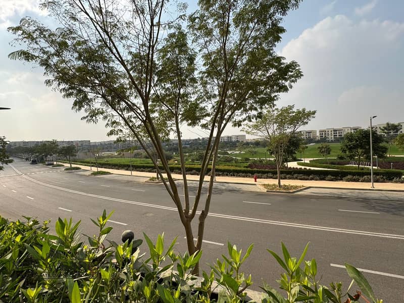 13 cb7dc768-ad96-409c-9e26-5fa15839aefe. jpg