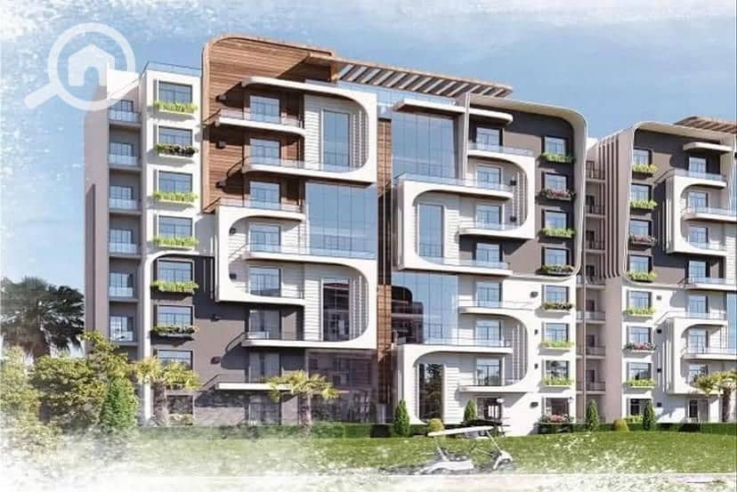 7 9904077e-c478-4717-9113-34d33593f293. jpg