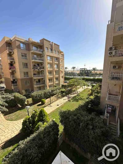 2 Bedroom Flat for Rent in Madinaty, Cairo - 1000498636. jpg
