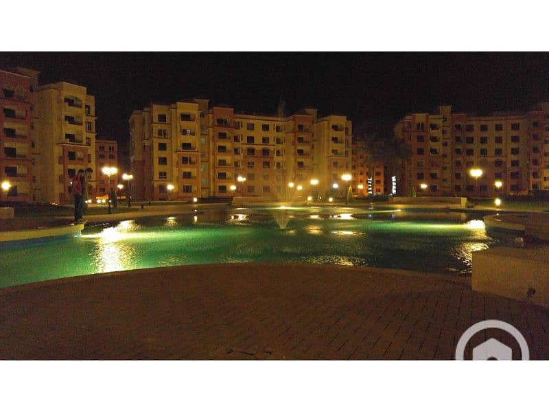 11 يصيضيضصي. jpg