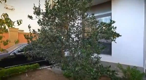 25 Screenshot_1-2-2026_13118_web. whatsapp. com. jpeg