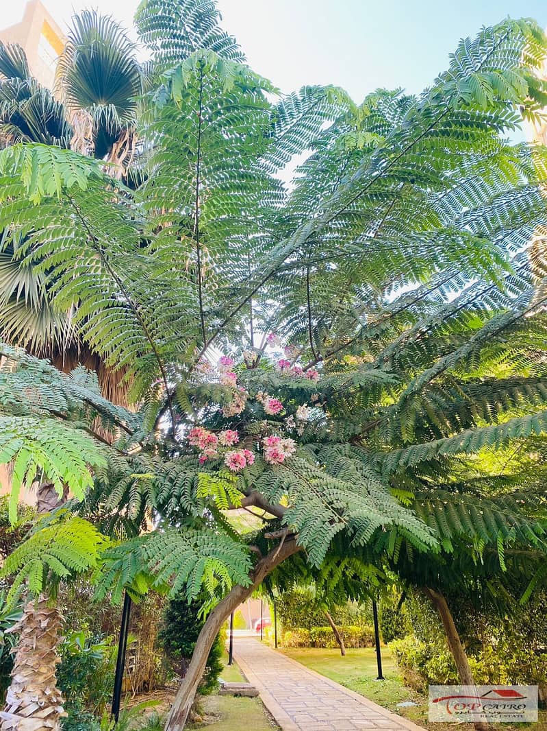 11 IMG-20251106-WA0241 - Copy. jpg