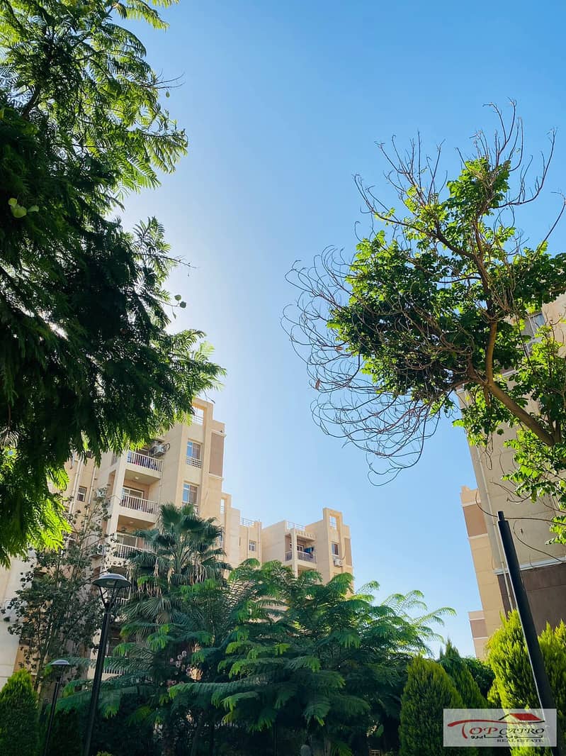 12 IMG-20251106-WA0242. jpg