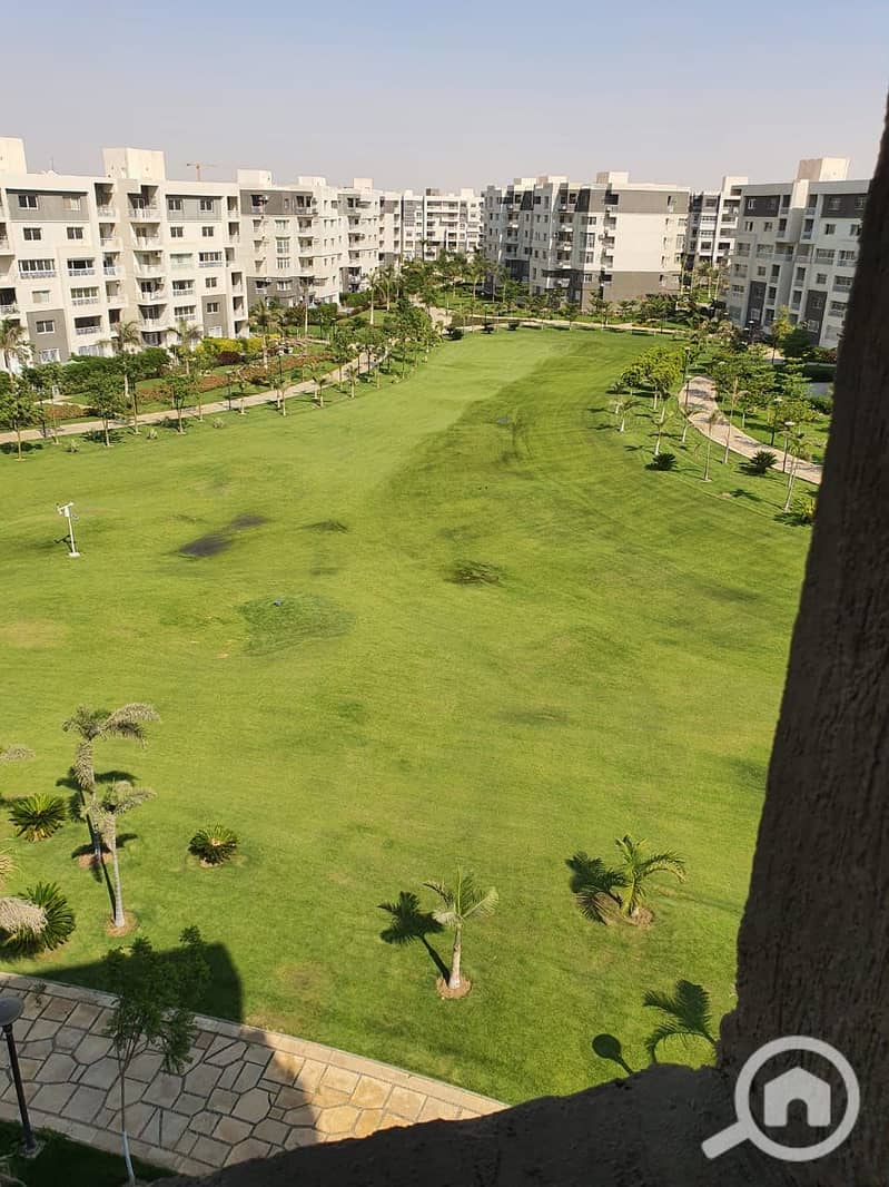 5 WhatsApp Image 2024-09-07 at 12.42. 47 PM - Copy (2). jpeg