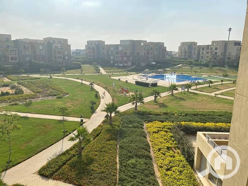 5 509727272_4130527620551929_7204677982550205245_n. jpg