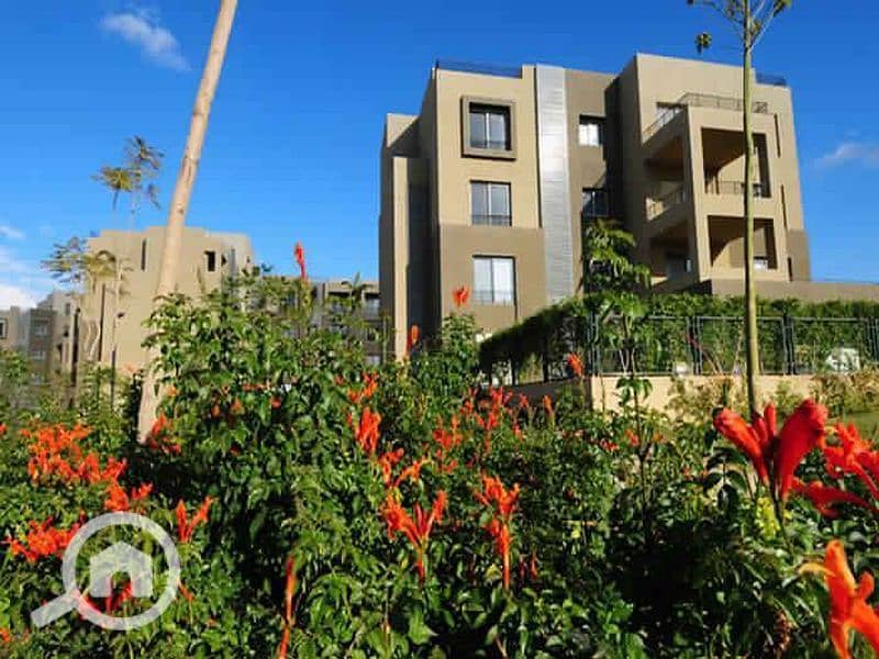 9 WhatsApp Image 2025-02-12 at 1.05. 33 PM (2)_800x600. jpg