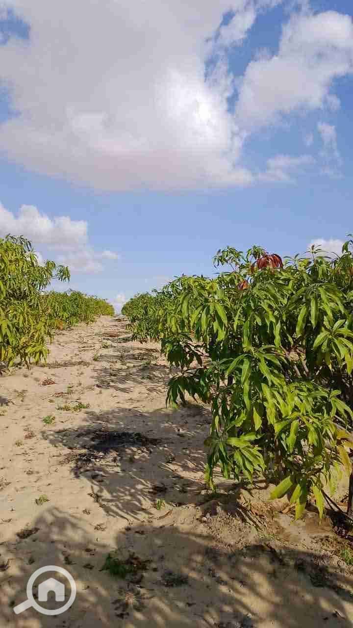 1000065360. jpg 1000065360. jpg