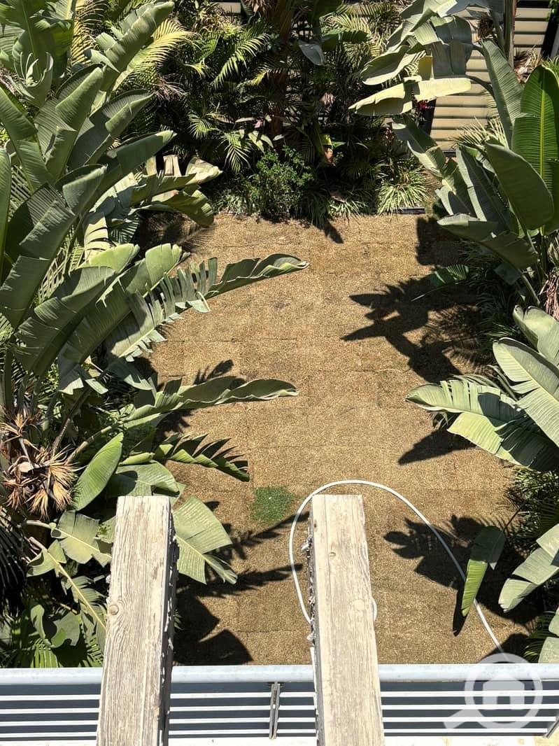 9 WhatsApp Image 2026-01-31 at 11.45. 43 AM. jpeg