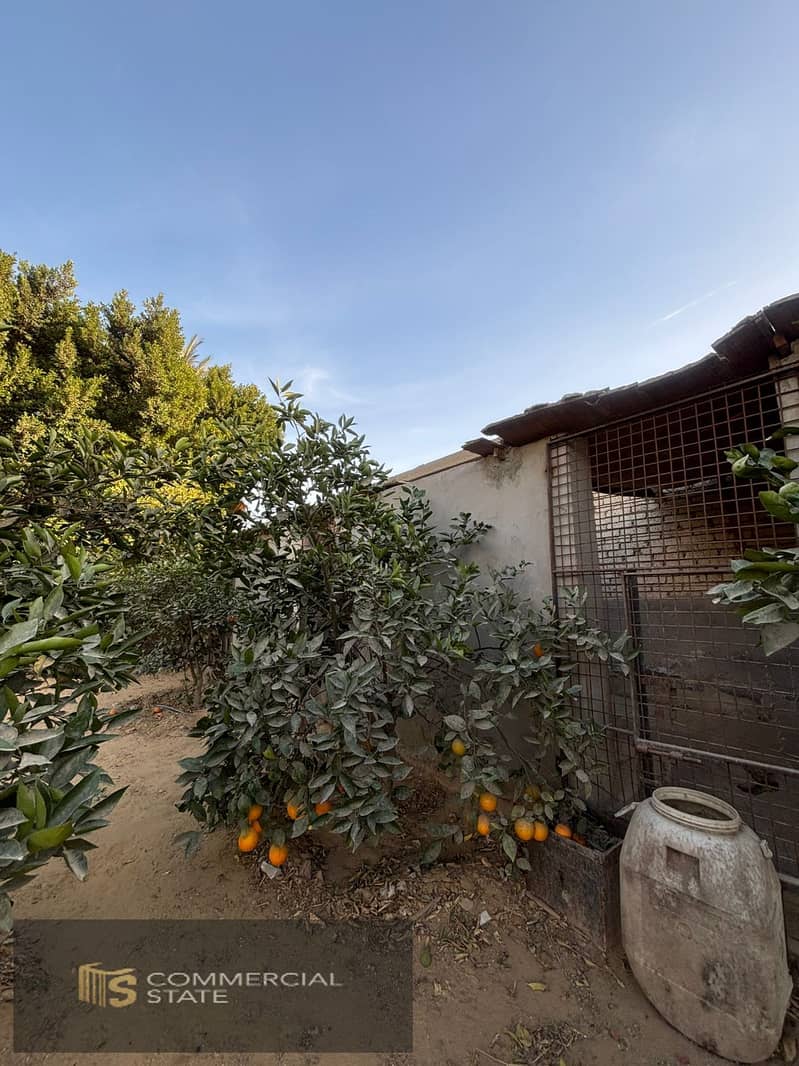 3 WhatsApp Image 2026-01-25 at 19.40. 26 (2). jpeg