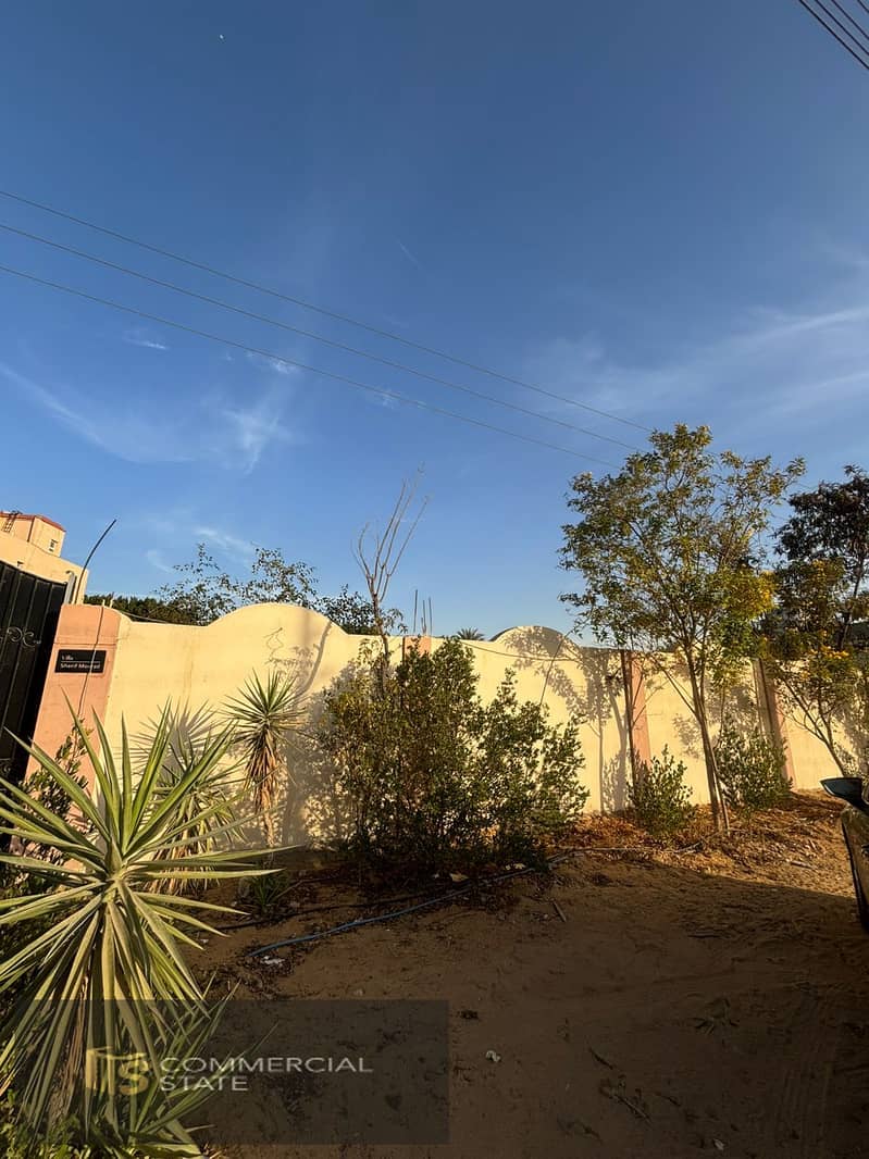 5 WhatsApp Image 2026-01-25 at 19.40. 26. jpeg