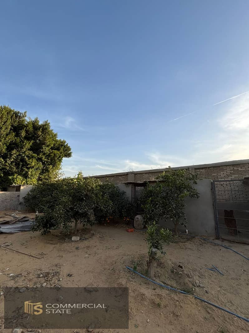 6 WhatsApp Image 2026-01-25 at 19.40. 27 (1). jpeg