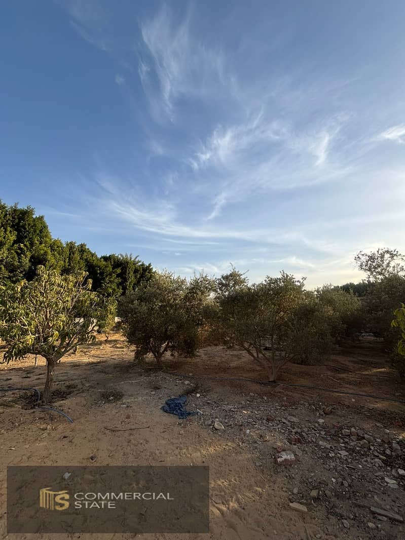 11 WhatsApp Image 2026-01-25 at 19.40. 28 (1). jpeg