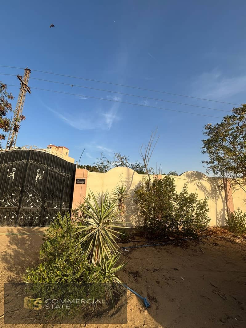 23 WhatsApp Image 2026-01-25 at 19.40. 31 (2). jpeg