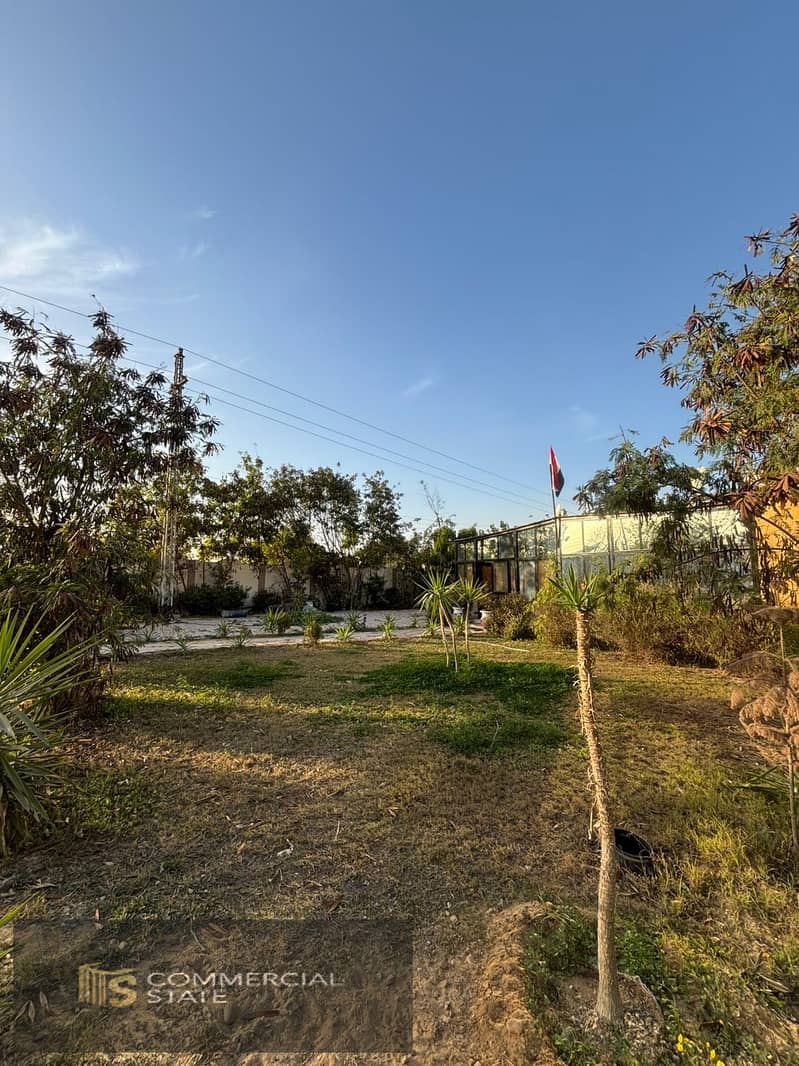 31 WhatsApp Image 2026-01-25 at 19.40. 33 (2). jpeg