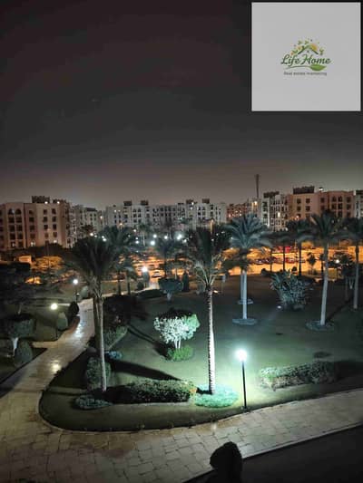 2 Bedroom Apartment for Rent in New Cairo, Cairo - 1000348634. jpg