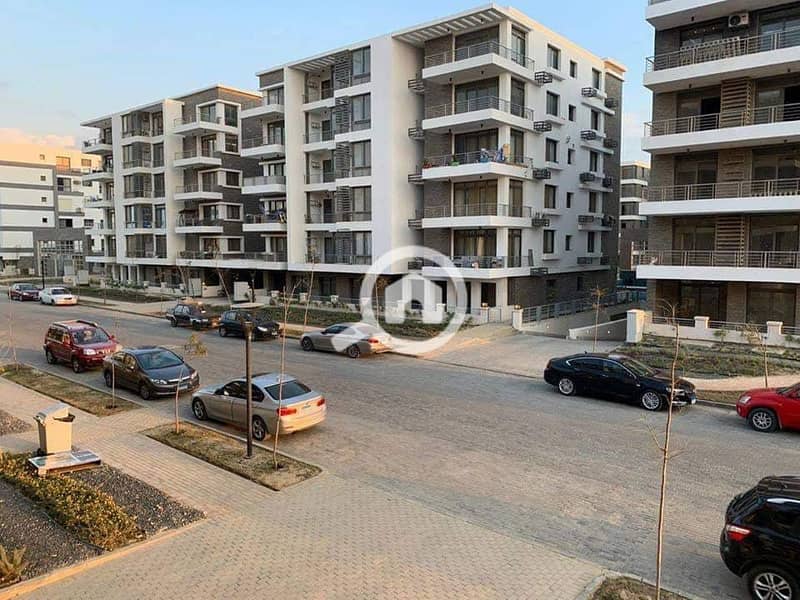 4 130494815_729526387681724_1221863286631306130_n. jpg