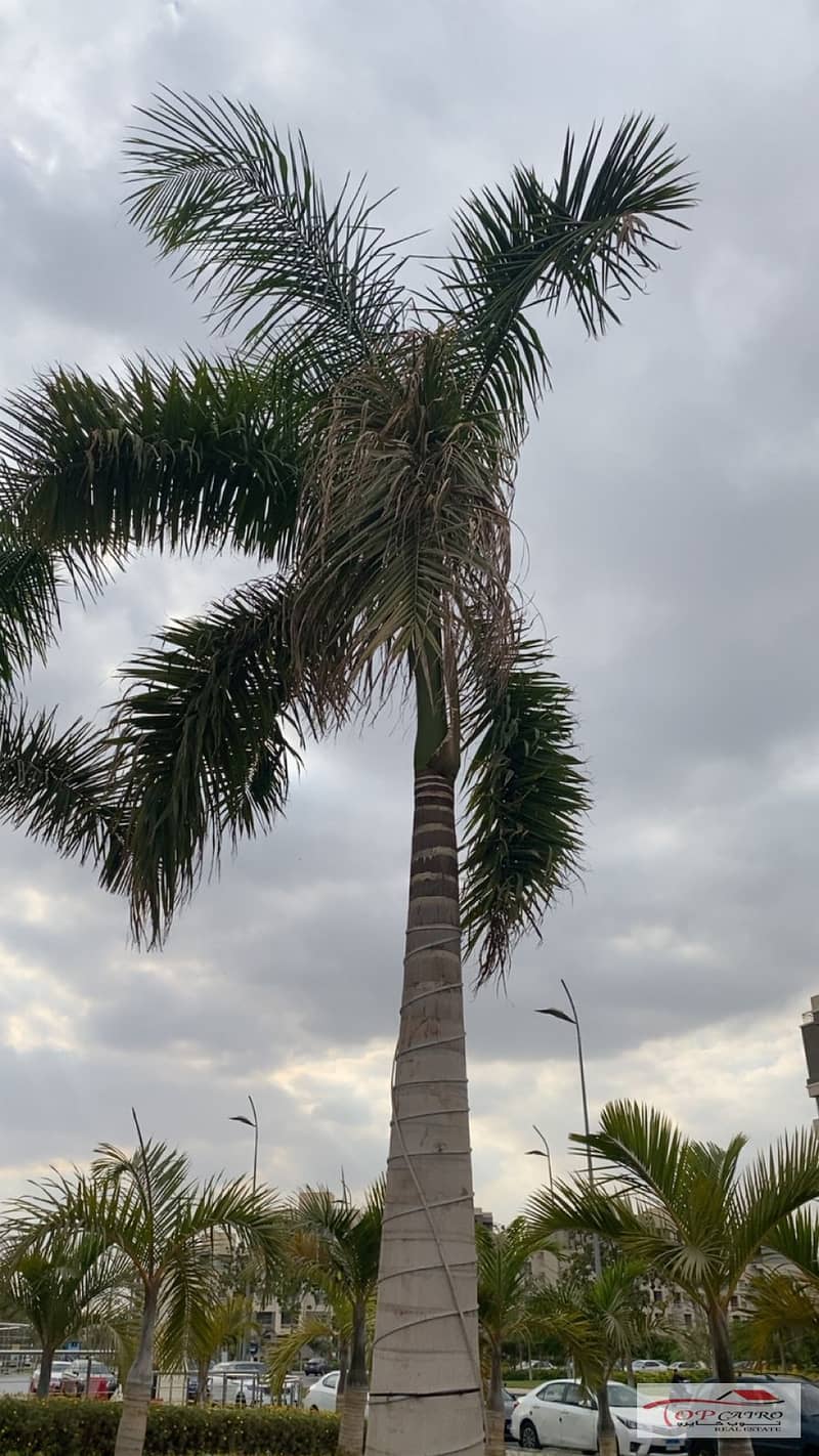 6 IMG-20251106-WA0246. jpg