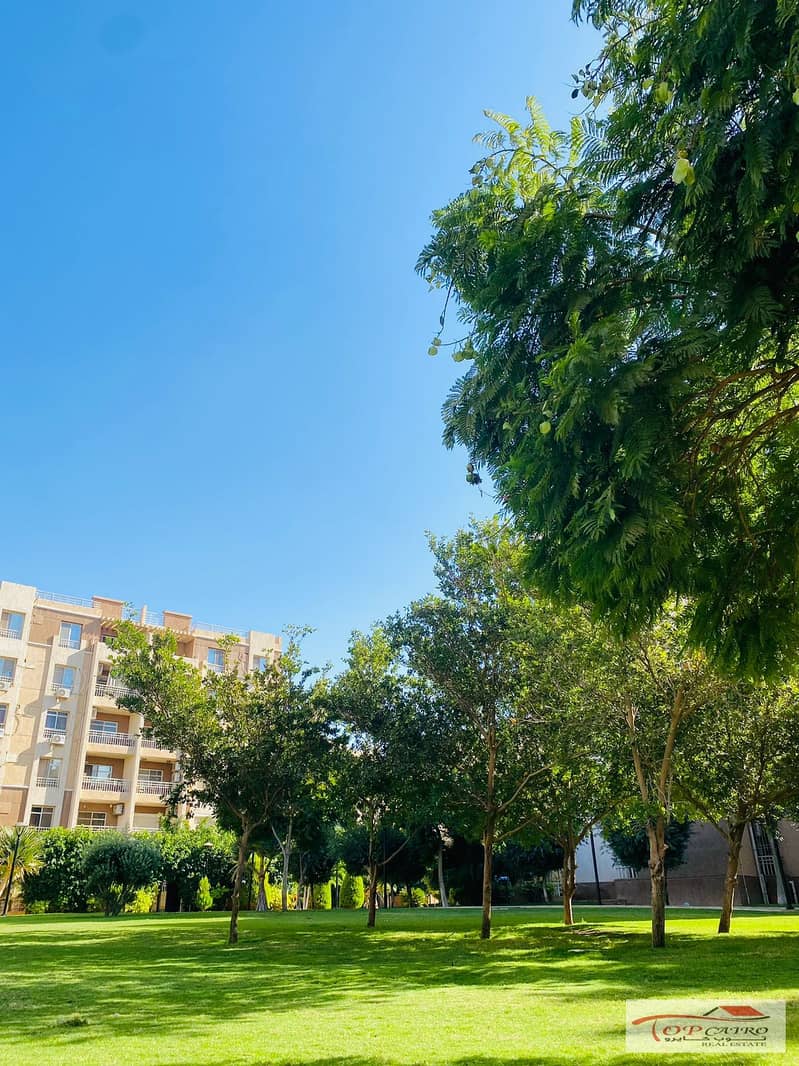 11 IMG-20251106-WA0244. jpg