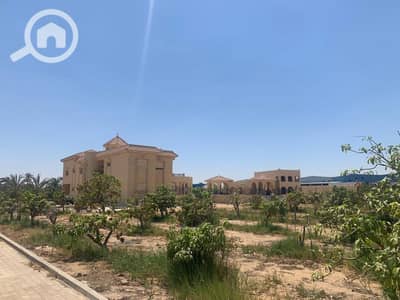 11 Bedroom Villa for Sale in 6th of October, Giza - WhatsApp Image 2026-02-01 at 12.44. 54 PM. jpeg