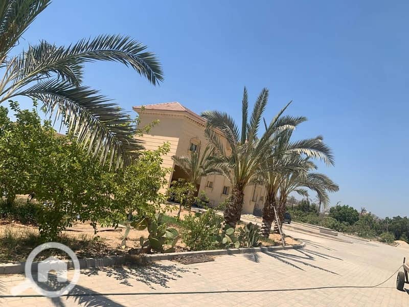 2 WhatsApp Image 2026-02-01 at 12.44. 56 PM. jpeg