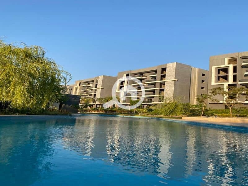 6 534b3d58-381c-4962-a252-ed0a11a6a069. jpg