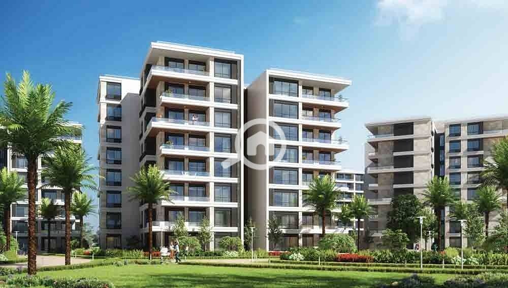 2 WhatsApp Image 2024-09-26 at 4.17. 24 PM (3) - Copy - Copy. jpeg