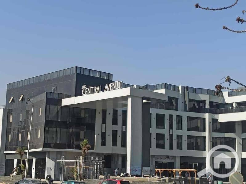 6 ec3164bc-af46-4261-9ead-432ece9ba3b8. jpg