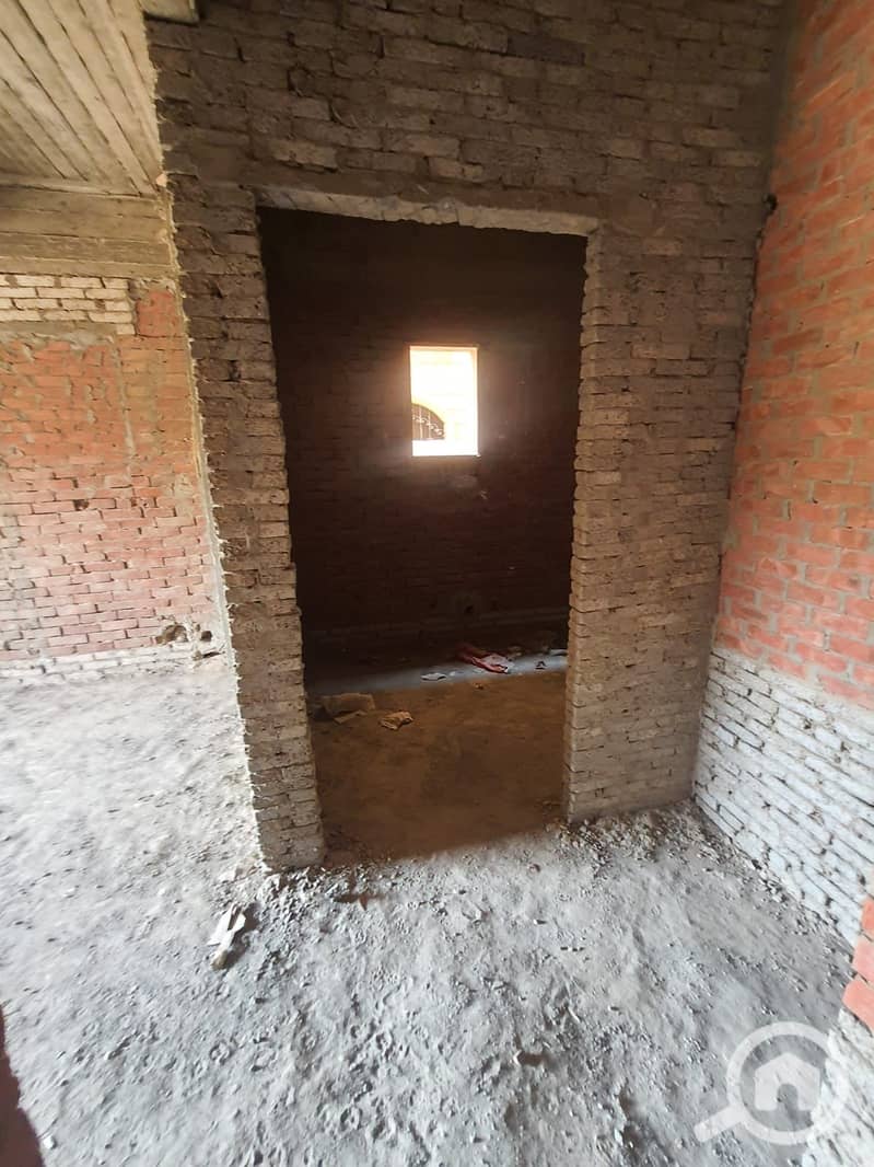 3 WhatsApp Image 2026-02-01 at 14.11. 42 (1). jpeg