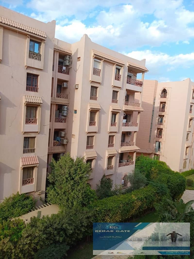 8 1 - Copy (2) - Copy. jpeg