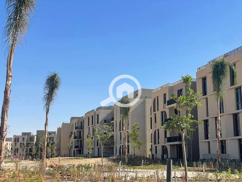 8 565003398_712837037733634_6826355099060009257_n. jpg