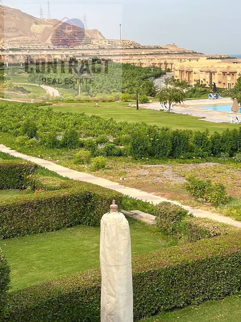 2 WhatsApp Image 2026-02-01 at 2.19. 50 PM (3). jpeg