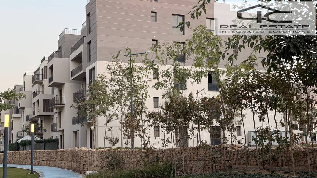 5 2025_12_23_16_52_IMG_1911. JPG